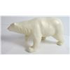 Image 3 : Polar Bear