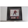 Image 2 : Picture of Mario Lemieux
