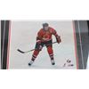 Image 3 : Picture of Mario Lemieux