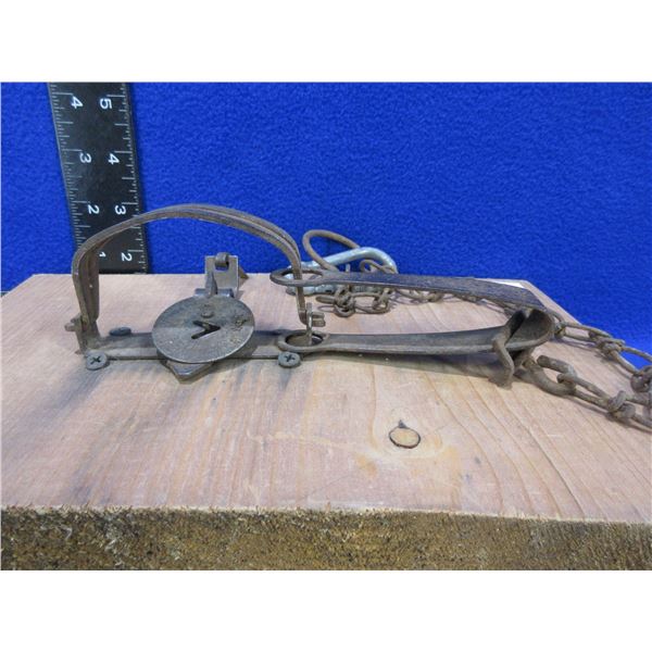Oneida Victor # 0 Gopher Trap Mounted on Wood