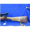Image 2 : Non-Restricted - Lee Enfield SMLE Lithgow in 303 British