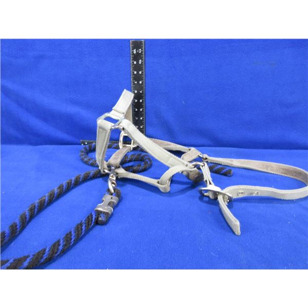 Horse Halter