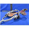 Image 3 : Spurs with Leather Straps