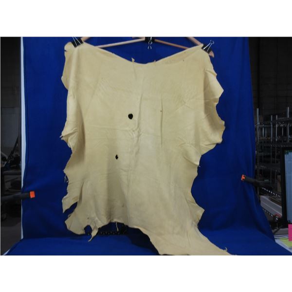 Deer Hide - Numbered 450 - Approx. 33" Long x 33" Wide