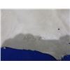 Image 3 : Deer Hide - Numbered 450 - Approx. 33" Long x 33" Wide