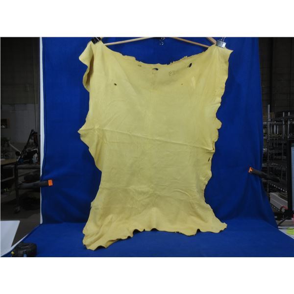 Deer Hide - Numbered 630 - Approx. 36" Long x 29" Wide