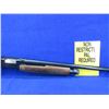 Image 7 : Non-Restricted - Winchester Model 2200 in 12 Ga. 3" Full