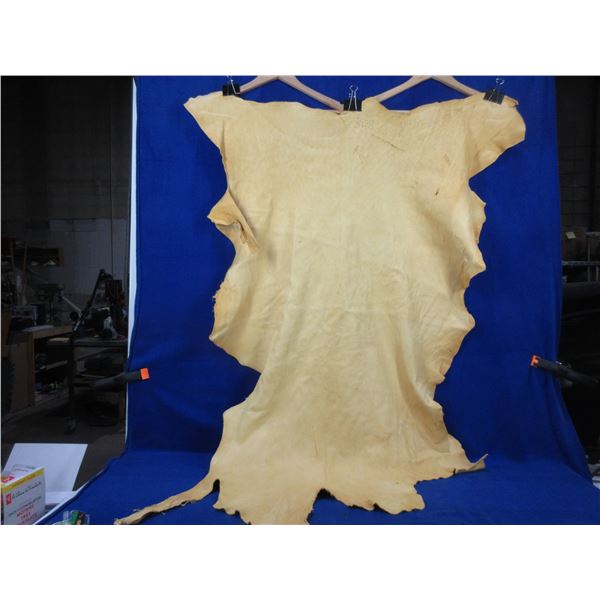 Deer Hide - Numbered 308 - Approx. 45" Long x 30" Wide