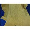 Image 3 : Deer Hide - Numbered 308 - Approx. 45" Long x 30" Wide