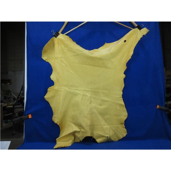Deer Hide - Numbered 244 - Approx. 31" Long x 24" Wide