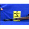 Image 4 : Non-Restricted - Winchester Model 250 in 22 LR