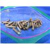 Image 1 : Collector Ammo - 22 WRF Cartridges - Bag of 49