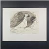 Image 1 : Pablo Picasso's "Pigeons" Limited Edition Print