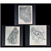 Image 2 : Henri Matisse Original Prints