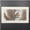 Image 1 : Audrey Casey's "Forest Sentinel - Red Squirrel" Limited Edition Print