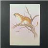 Image 1 : C. Andrew "Cougar Perched" Original Print