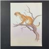 Image 1 : C. Andrew "Cougar Perched" Original Print