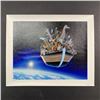 Image 1 : Charles Lynn Bragg's "Panda in Tree" Limited Edition Canvas