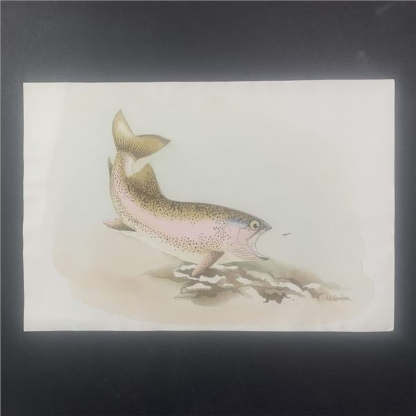 H. Gunter's "Rainbow Trout" Original Print