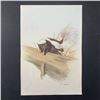 Image 1 : H. Gunter's "Sneaky Skunk" Original Print