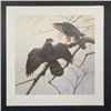 Image 4 : Michael Dumas's "Cooper's Hawk" Limited Edition Prints