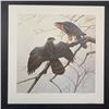 Image 5 : Michael Dumas's "Cooper's Hawk" Limited Edition Prints