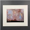 Image 1 : Stephen S. Patterson's "Cracked Paint" Photographic print