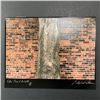 Image 1 : Stephen S. Patterson's "Elm Tree & Wall" Limited Edition Photo