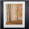 Image 1 : Limited Edition Autumn Scene Print