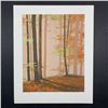 Image 1 : Limited Edition Autumn Scene Print