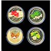 Image 2 : CANADA $75.00 2010 Four Seasons Maple Leaves Set