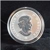 Image 2 : CANADA $50.00 2006 Summer Bear Palladium Coin