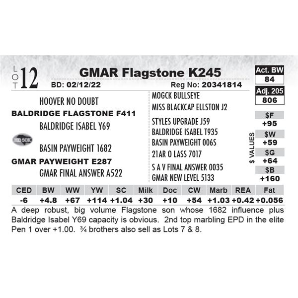 GMAR Flagstone K245