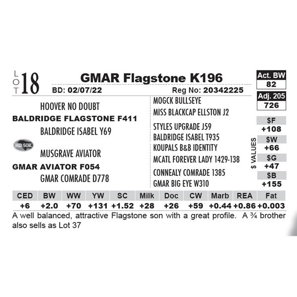 GMAR Flagstone K196