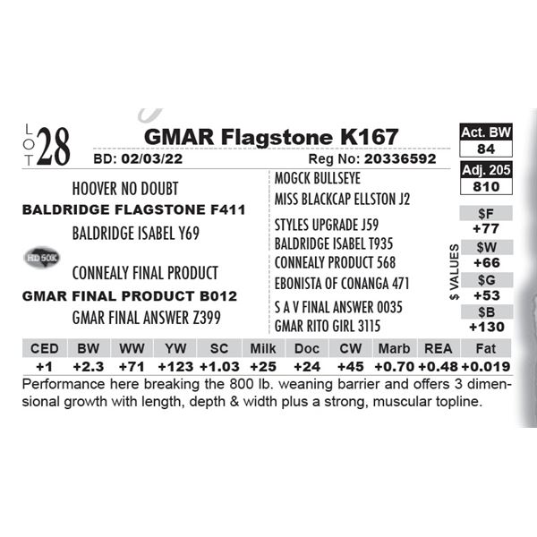 GMAR Flagstone K167