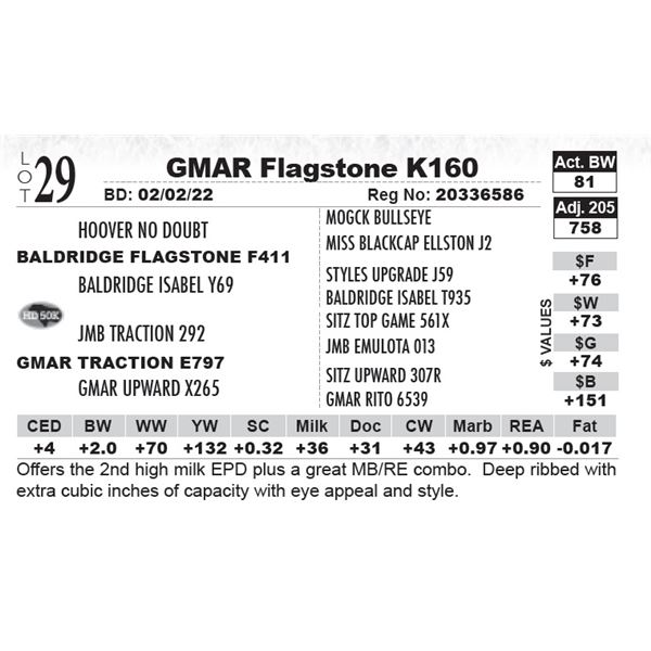 GMAR Flagstone K160