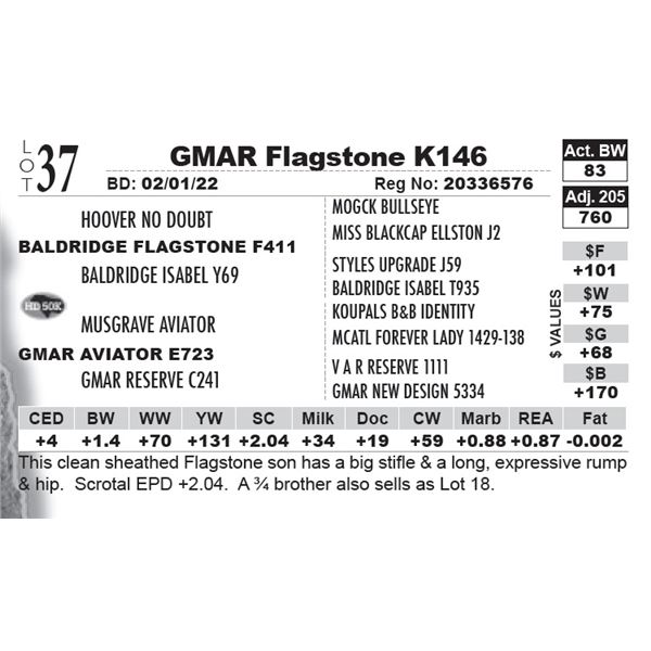 GMAR Flagstone K146