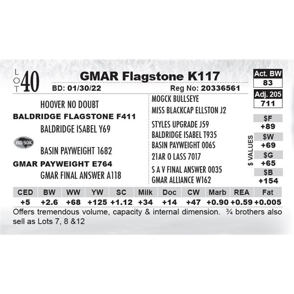 GMAR Flagstone K117