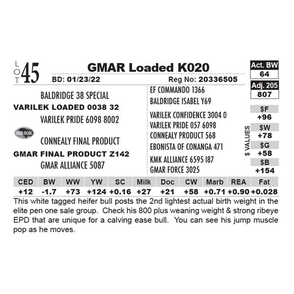 GMAR Loaded K020