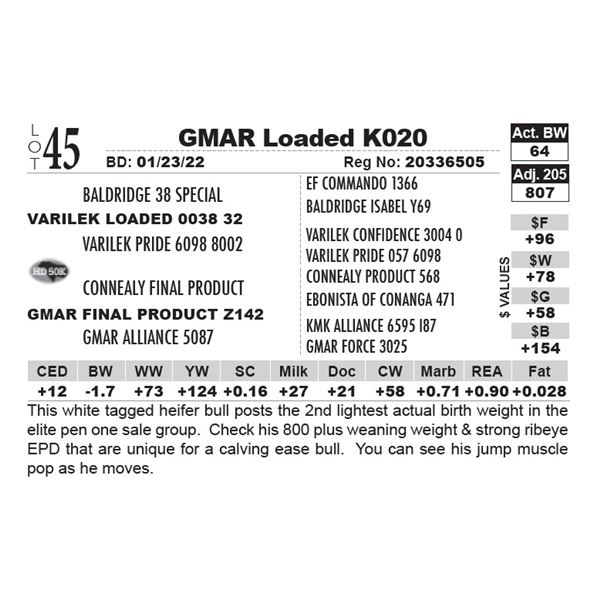 GMAR Loaded K020