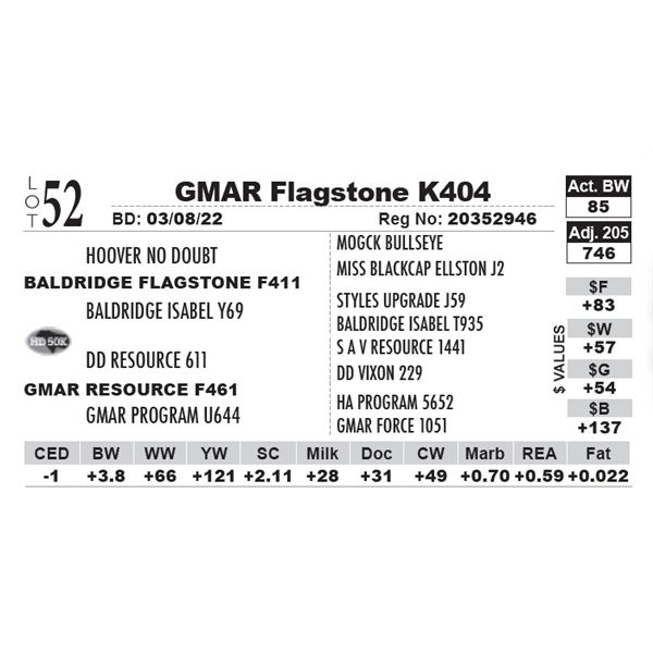 GMAR Flagstone K404