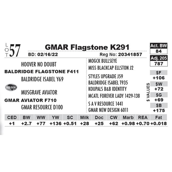 GMAR Flagstone K291