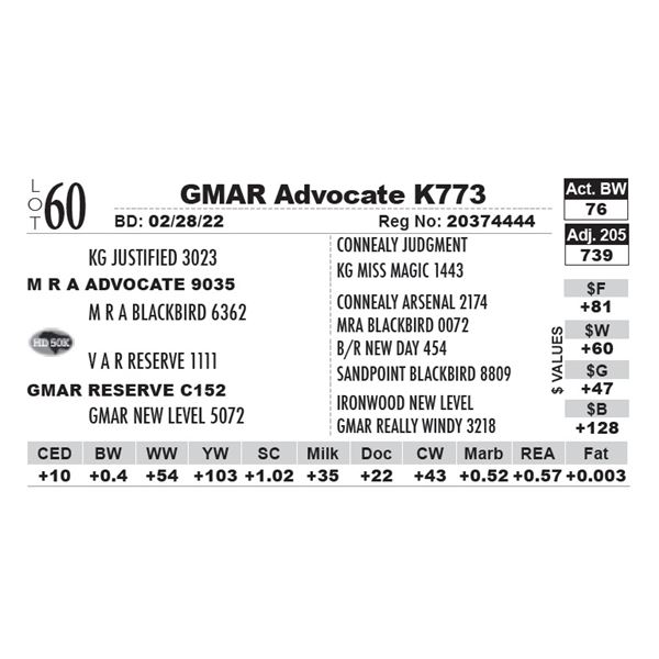 GMAR Advocate K773