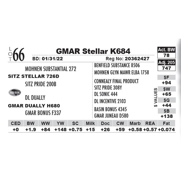 GMAR Stellar K684