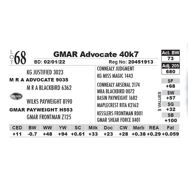 GMAR Advocate 40k7