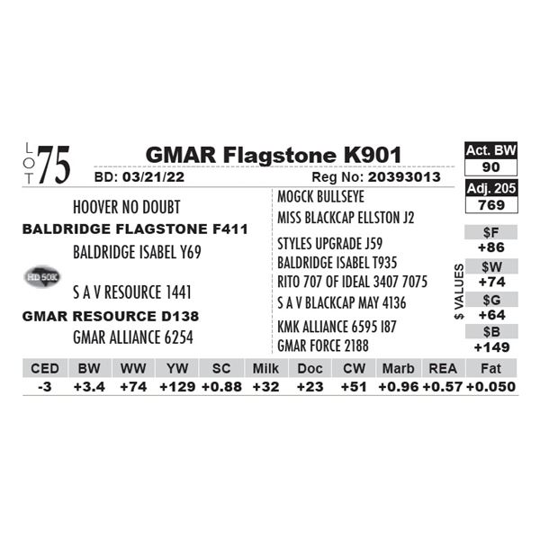 GMAR Flagstone K901