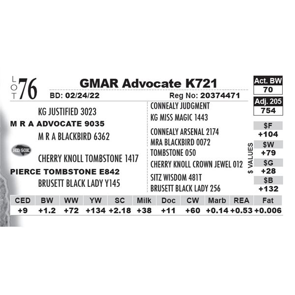 GMAR Advocate K721