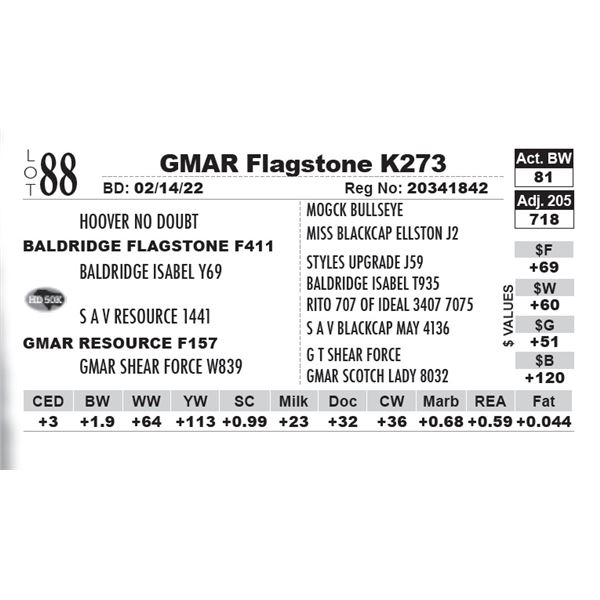 GMAR Flagstone K273