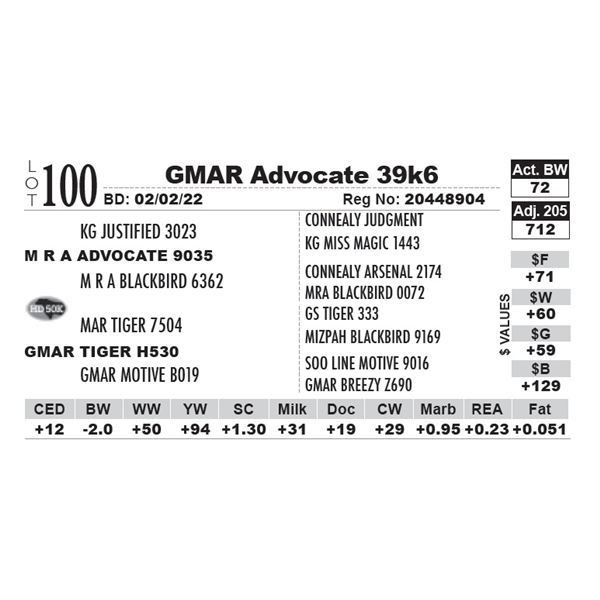 GMAR Advocate 39k6