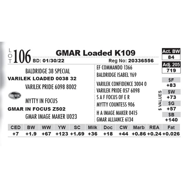 GMAR Loaded K109